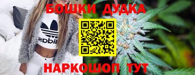 сатива Краснознаменск