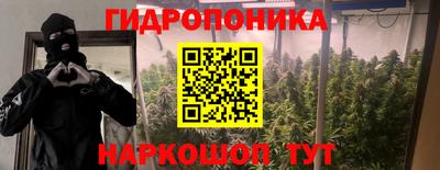 сатива Краснознаменск