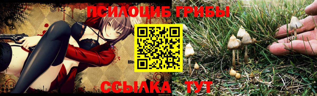 Псилоцибиновые грибы мухоморы Елизово