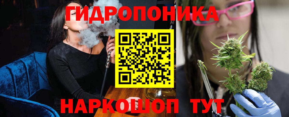 Бошки марихуана ГИДРОПОН  Каннабис Ganja  Каннабис White Widow  Елизово  Вход с VPN 